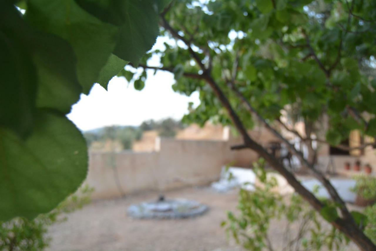 Our Villa'S Private Apartments - Hq Budget Stay - Wonderful Horizon View Of Jerash Dżarasz Zewnętrze zdjęcie